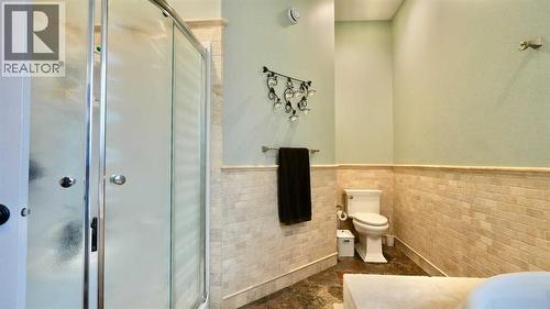 8245 102 Avenue, Peace River, AB - Indoor Photo Showing Bathroom