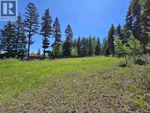 1414 Kallyn Road, Williams Lake, BC - Outdoor With View
