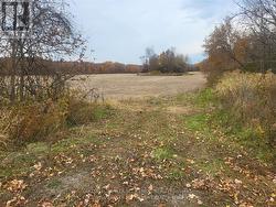 LOT 2 BUSH ROAD  Rideau Lakes, ON K0G 1E0