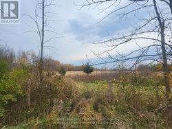 LOT 3 BUSH ROAD  Rideau Lakes, ON K0G 1E0