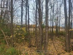 LOT 5 BUSH ROAD  Rideau Lakes, ON K0G 1E0