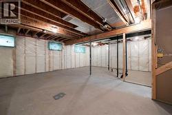 Basement alternate view - 