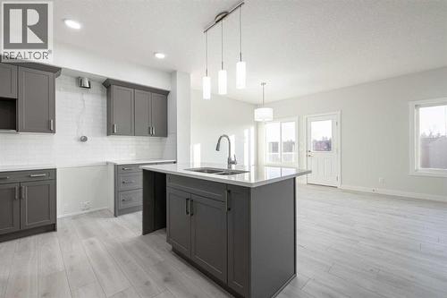 17 Sora Gardens Se, Calgary, AB - Indoor Photo Showing Kitchen With Double Sink With Upgraded Kitchen