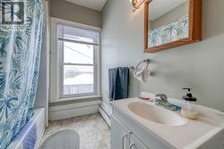 Full bath featuring vanity, shower / tub combo with curtain, and a baseboard heating unit - 