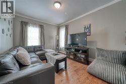Living room featuring crown molding, hardwood / wood-style floors, and plenty of natural light - 