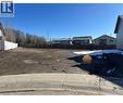 14 Napoleon Meadows Way, Innisfail, AB 