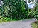 1571 Pratico Road, Revelstoke, BC 