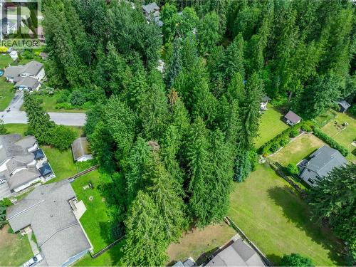 1571 Pratico Road, Revelstoke, BC 