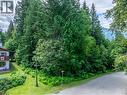 1565 Pratico Road, Revelstoke, BC 