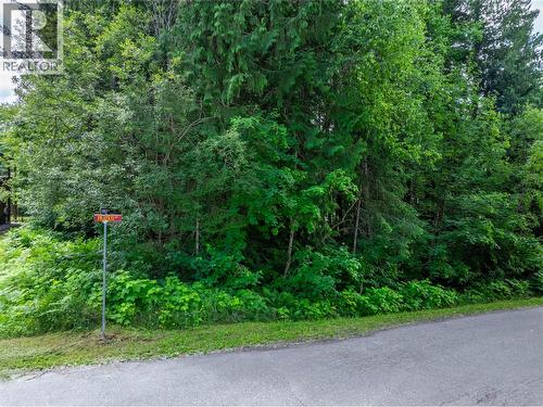 1565 Pratico Road, Revelstoke, BC 