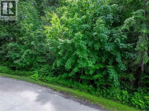 1565 Pratico Road, Revelstoke, BC 