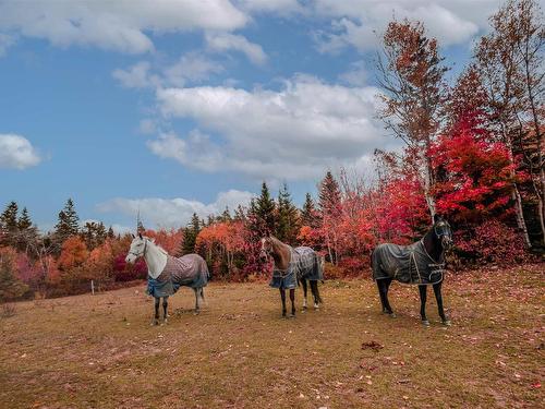 328 Brickyard Road, Cape Breton, NS 