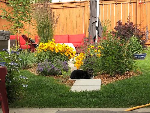 203 7Th Avenue, Nakusp, BC - Outdoor