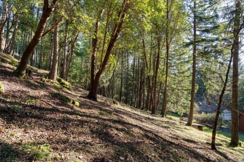 1183-1193 Hillgrove Rd, North Saanich, BC 