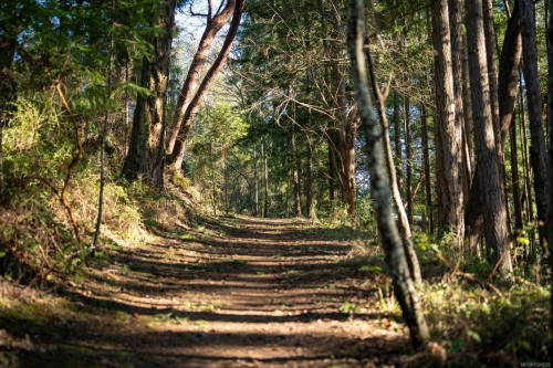 1183-1193 Hillgrove Rd, North Saanich, BC 