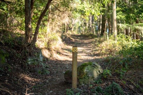 1183-1193 Hillgrove Rd, North Saanich, BC 