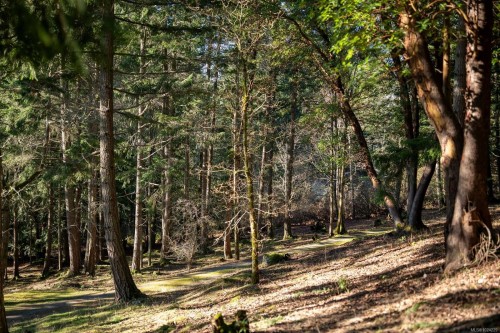 1183-1193 Hillgrove Rd, North Saanich, BC 