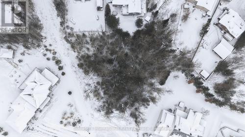 Treed area defines lot - 152 Timber Lane, Blue Mountains, ON 