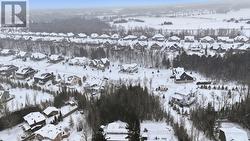 Treed area defines lot - 