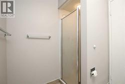 Basement Bathroom - Walk In Shower - 