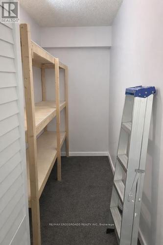 209 - 8 Silverbelle Grove, Toronto, ON - Indoor With Storage