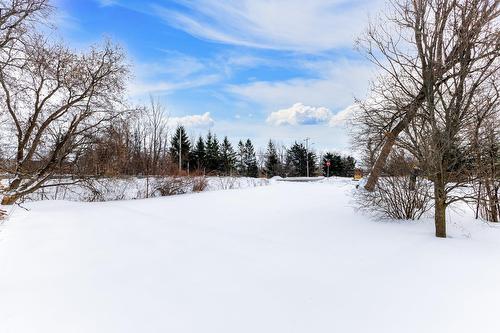 Cour - 285 Route 201, Coteau-Du-Lac, QC - Outdoor With View