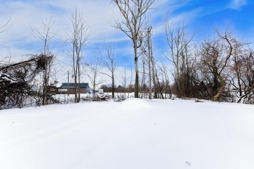 Cour - 285 Route 201, Coteau-Du-Lac, QC - Outdoor With View