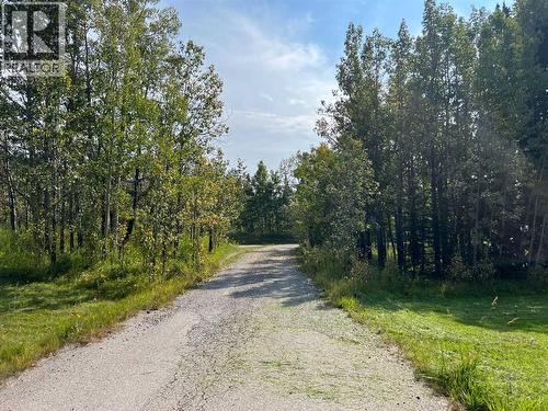 Driveway to the house - 31 Williams Place, Bragg Creek, AB - Outdoor With View