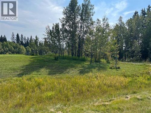 31 Williams Place, Bragg Creek, AB - Outdoor With View