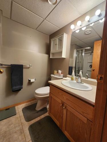 735 Porcupine Boulevard, Thunder Bay, ON - Indoor Photo Showing Bathroom