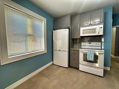 130 Pine Street, Thunder Bay, ON - Indoor Photo Showing Kitchen