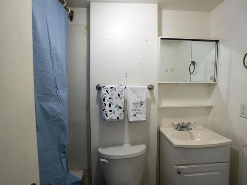 507 Van Norman Street, Thunder Bay, ON - Indoor Photo Showing Bathroom
