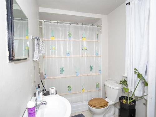 507 Van Norman Street, Thunder Bay, ON - Indoor Photo Showing Bathroom