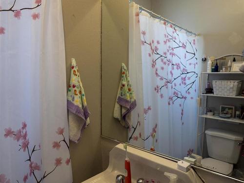 507 Van Norman Street, Thunder Bay, ON - Indoor Photo Showing Bathroom