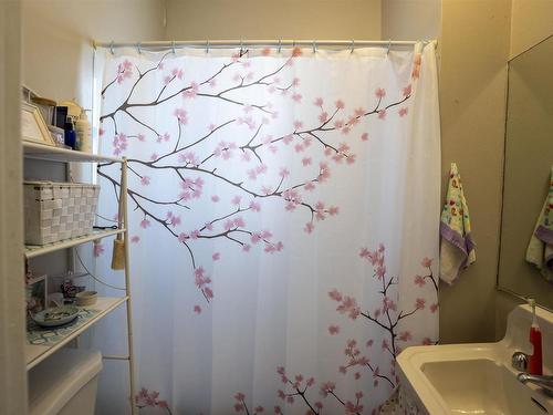 507 Van Norman Street, Thunder Bay, ON - Indoor Photo Showing Bathroom