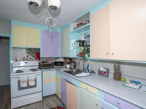 507 Van Norman Street, Thunder Bay, ON - Indoor Photo Showing Kitchen With Double Sink