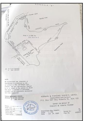 38 North Side Road, Bay Roberts, NL 