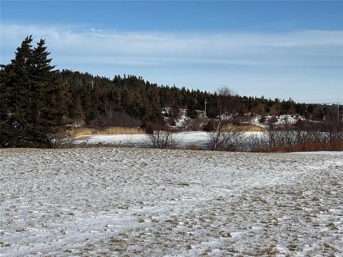 38 North Side Road, Bay Roberts, NL 