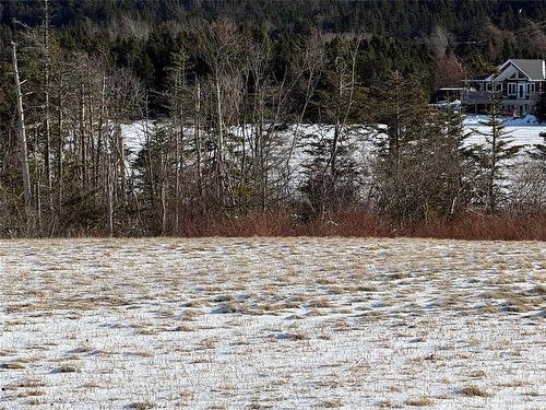 38 North Side Road, Bay Roberts, NL 