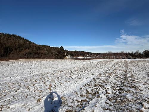 38 North Side Road, Bay Roberts, NL 