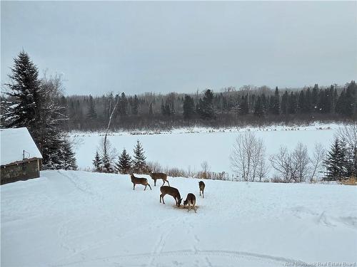 1492 Route 385, Oxbow, NB 