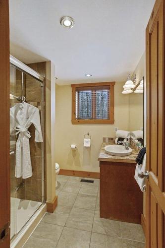 Salle de bains - 1193 Ch. Des Pionniers, Labelle, QC - Indoor Photo Showing Bathroom