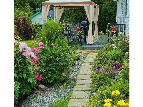 5381 Highway 19, Judique, NS 