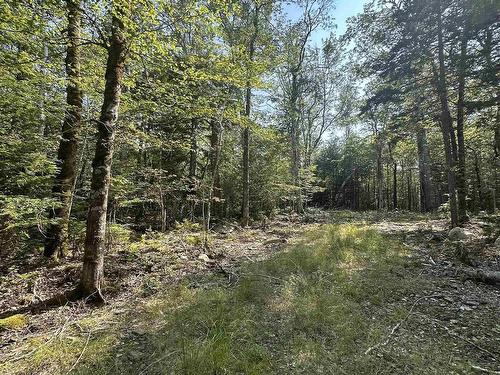 Lot 49 Island View Terrace, Labelle, NS 