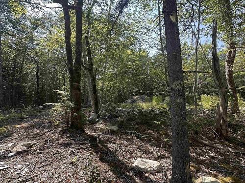 Lot 49 Island View Terrace, Labelle, NS 
