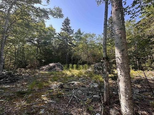 Lot 49 Island View Terrace, Labelle, NS 