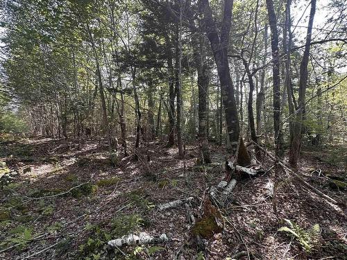 Lot 49 Island View Terrace, Labelle, NS 