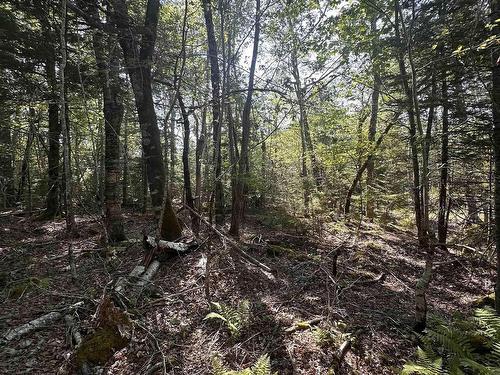 Lot 49 Island View Terrace, Labelle, NS 