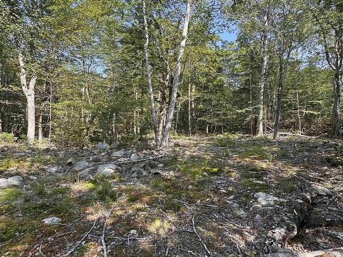 Lot 49 Island View Terrace, Labelle, NS 