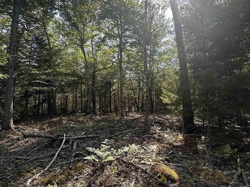 Lot 51 Island View Terrace, Labelle, NS 